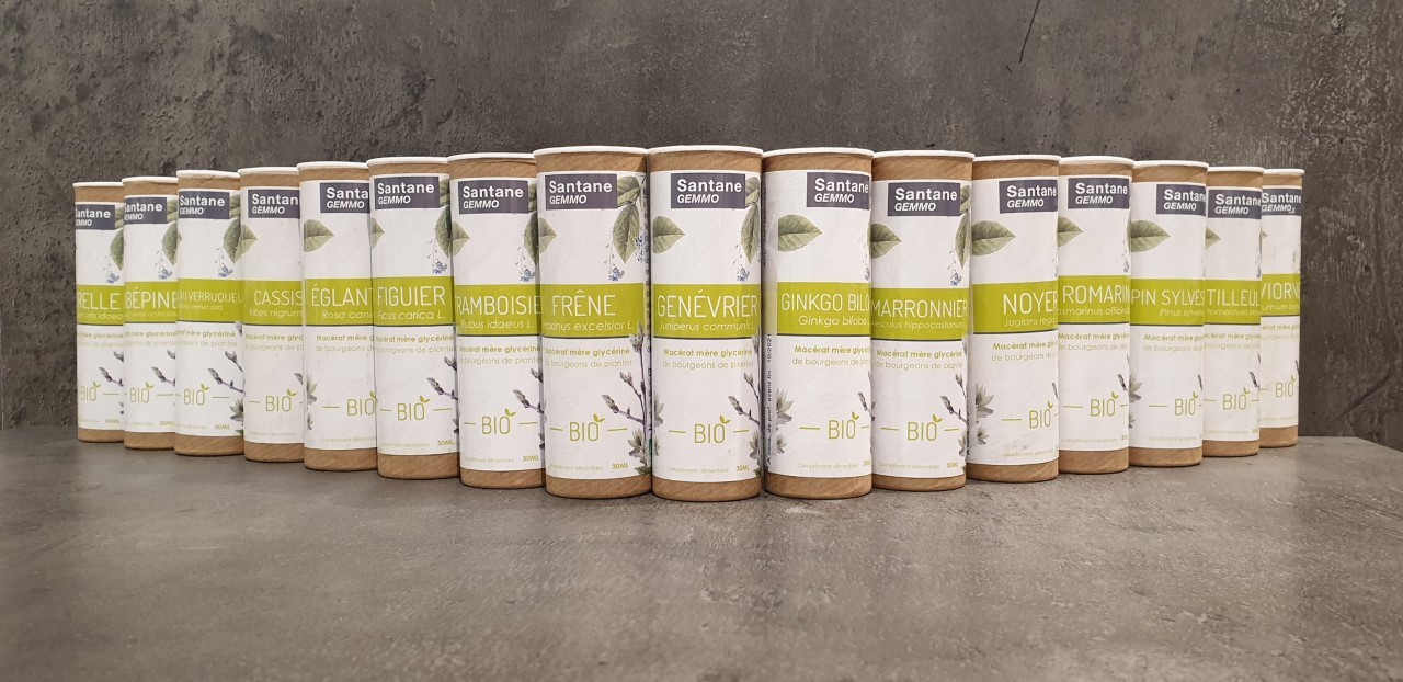 santane gemmo cassis bio 30ml