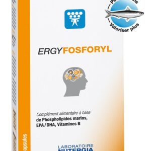 NUTERGIA ERGYFOSFORYL BTE 60 CAPS