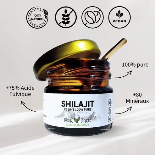 SHILAJIT RESINE 100%PURE pot 30g 60 doses